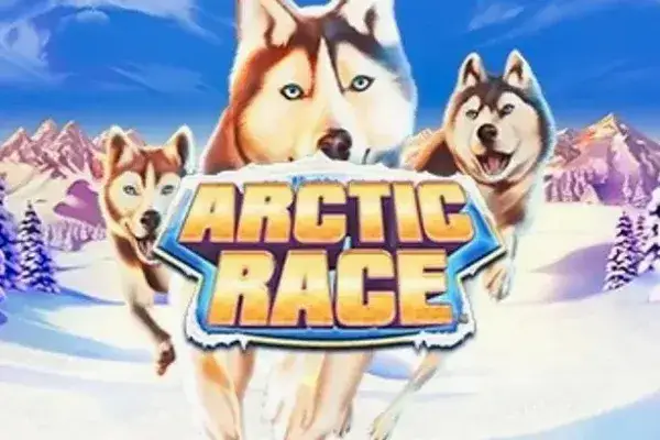 Arctic Race